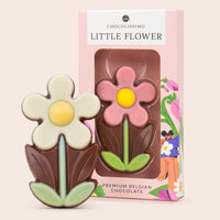 Chocolate daisy Little Flower