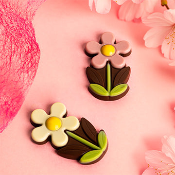 Chocolate daisy Little Flower