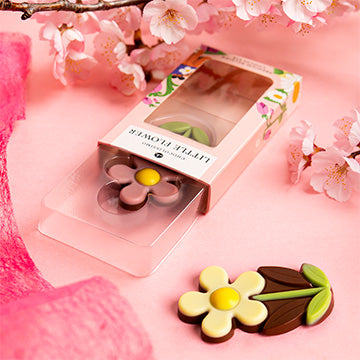 Chocolate daisy Little Flower