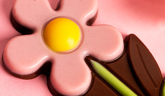 Chocolate daisy Little Flower