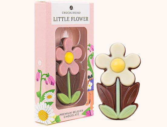 Chocolate daisy Little Flower