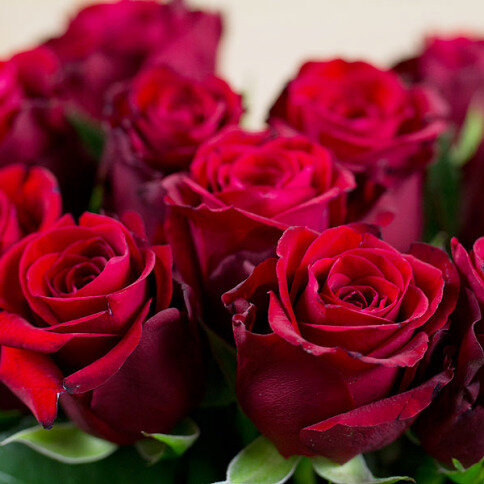 kytice červených růží na Valentýna